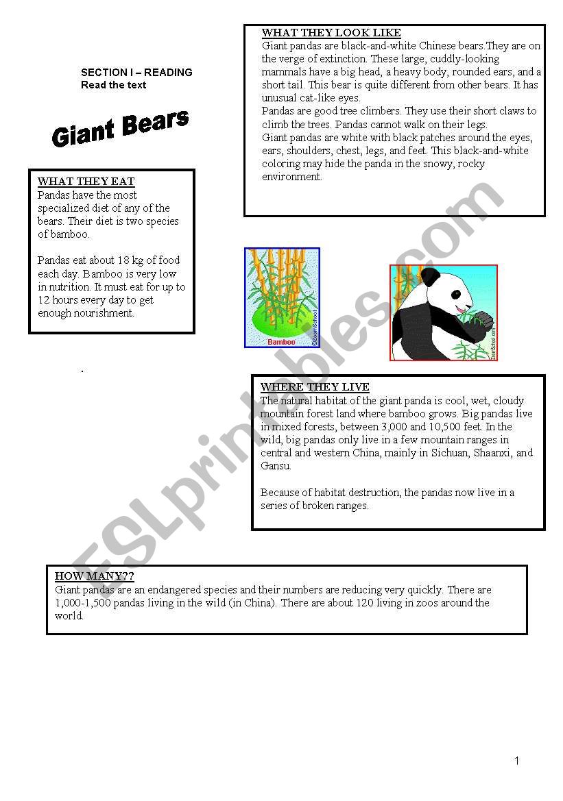 6th grade worksheet worksheet