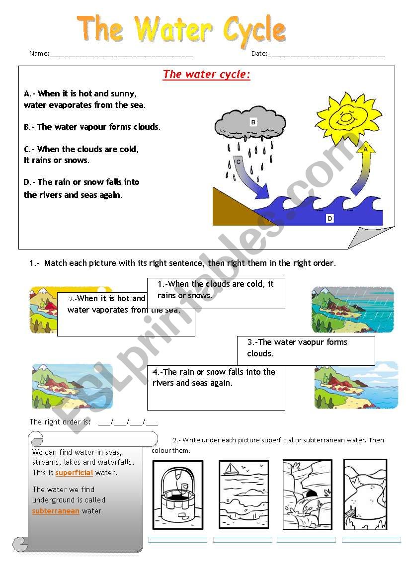 The Water Cicle worksheet