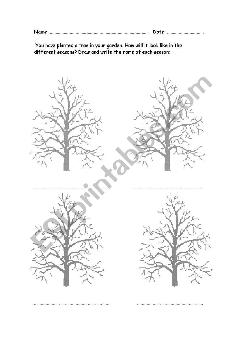 Seasons worksheet