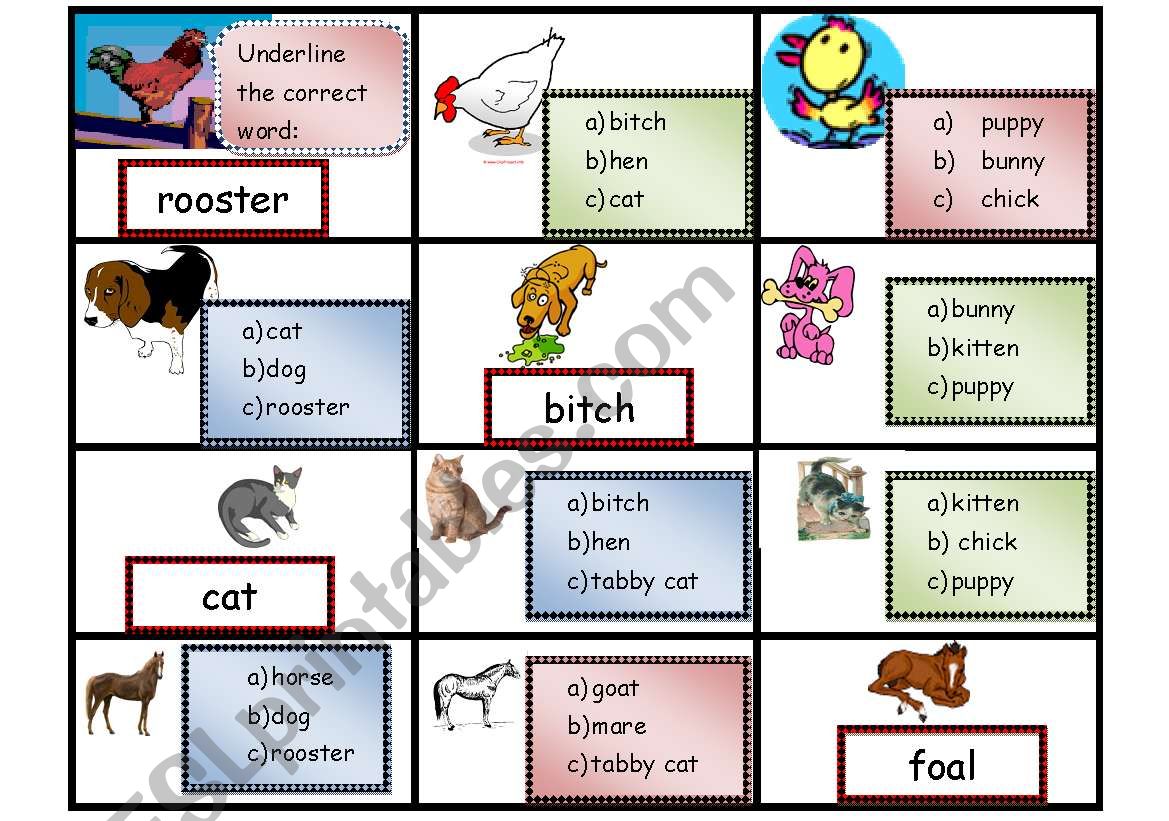 animal families worksheet worksheet