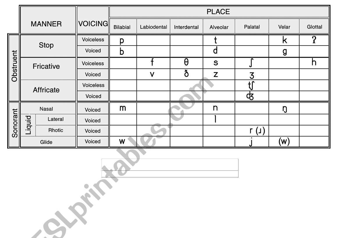 Consonant IPA chart worksheet