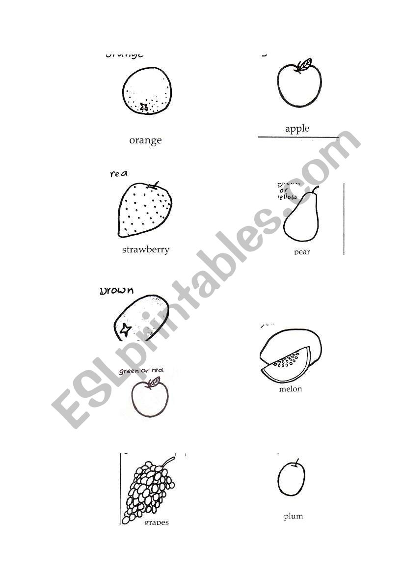 fruit worksheet