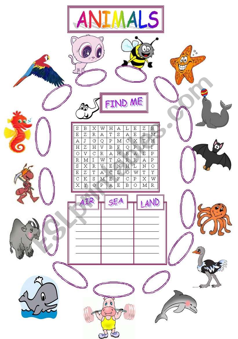 SWEETY ANIMALS worksheet