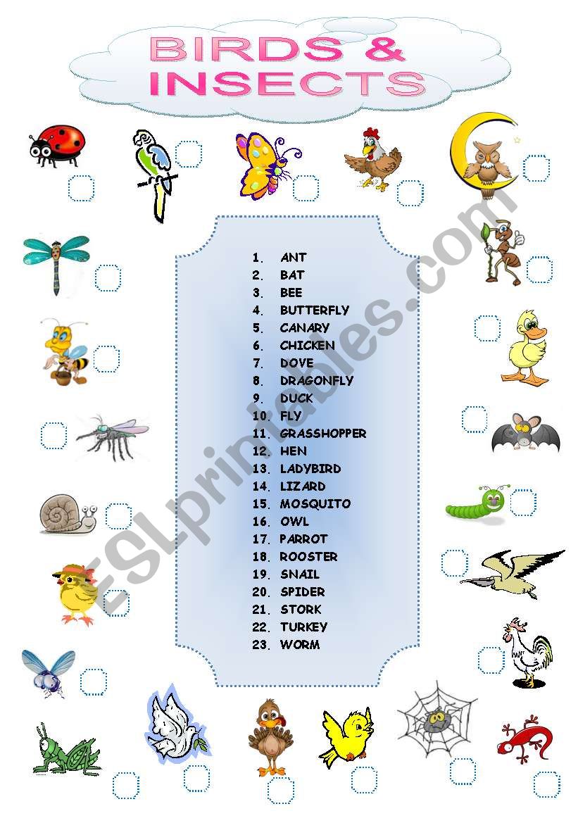 BIRDS AND INSECTS MATCHING worksheet