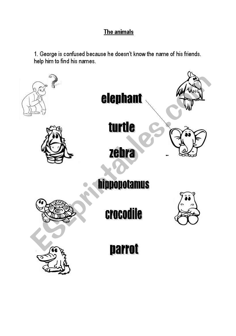 the animals worksheet