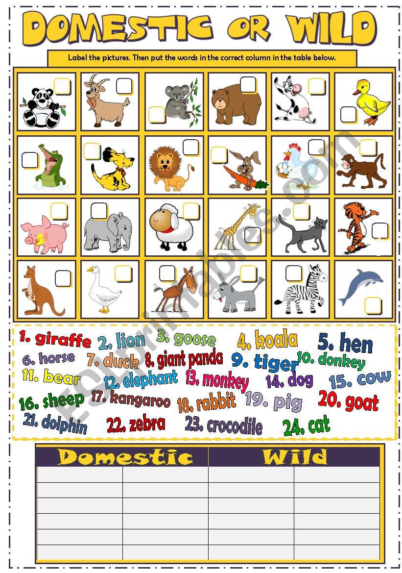 DOMESTIC or WILD ANIMALS (B&W + KEY) DOMESTIC or WILD ANIMALS (B&W + KEY)