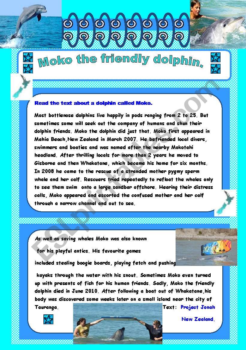 Moko the friendly dolphin worksheet