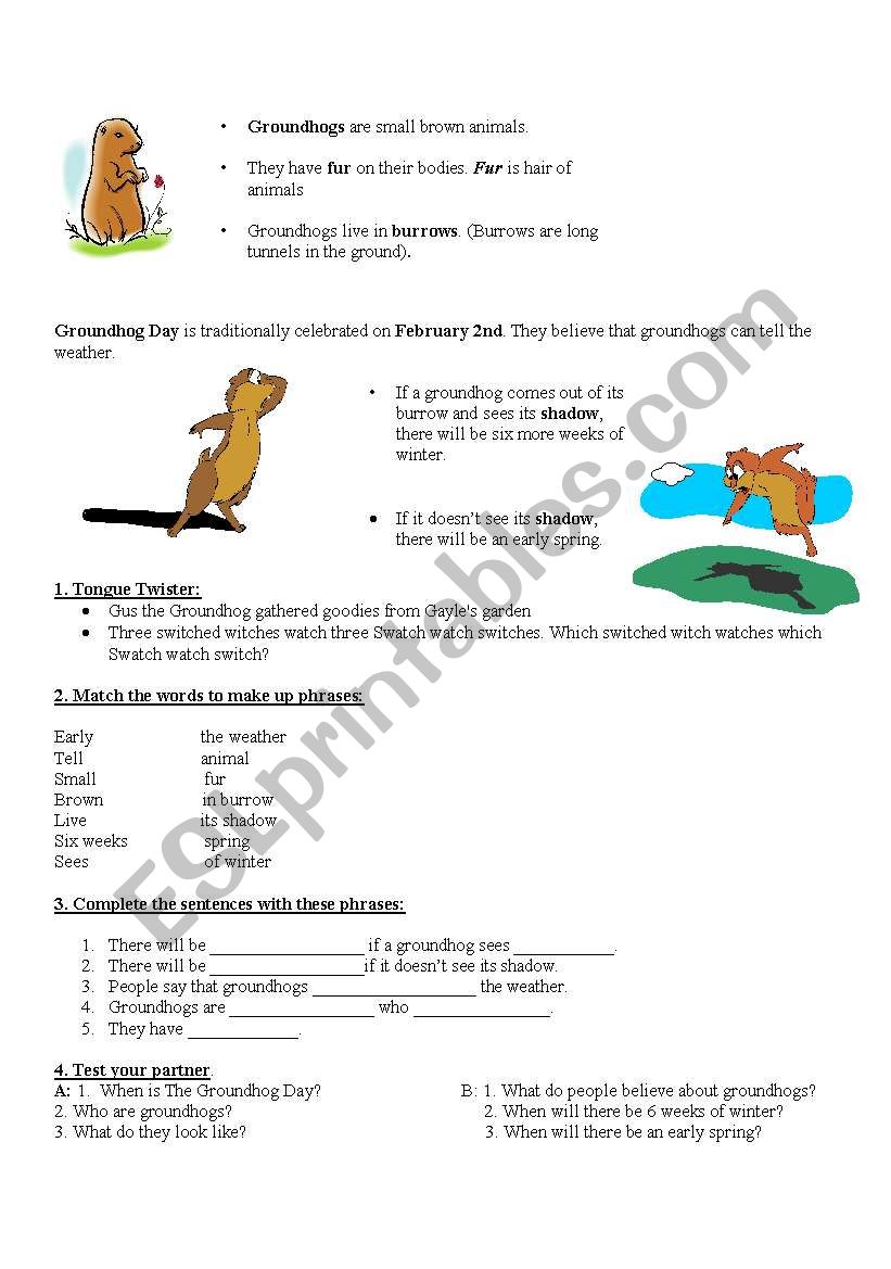 groundhog day worksheet