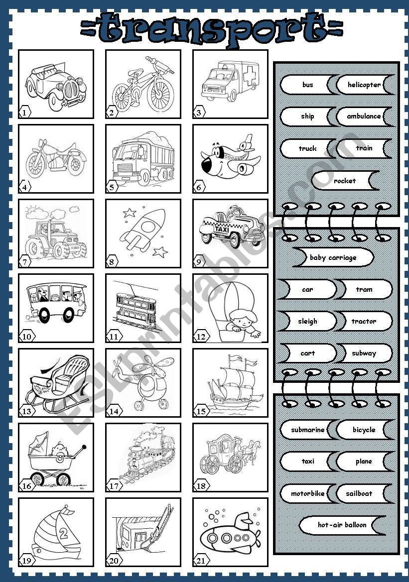 transport (3) worksheet