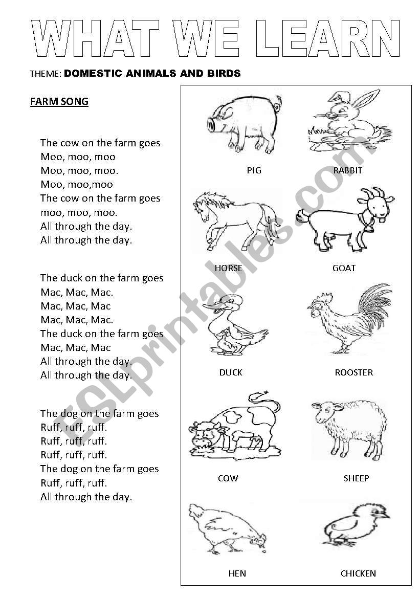 Domestic Birds and Animals worksheet