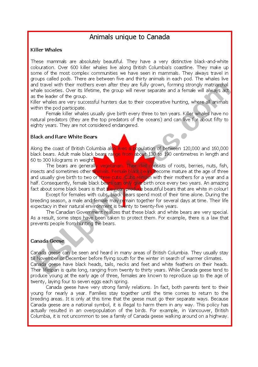 Animals unique to Canada worksheet