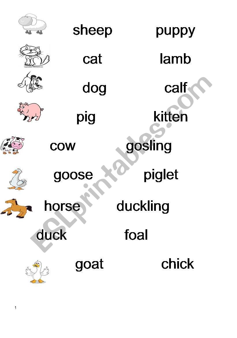 match animals to their babies worksheet
