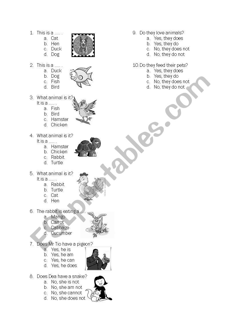 1st english workseet worksheet