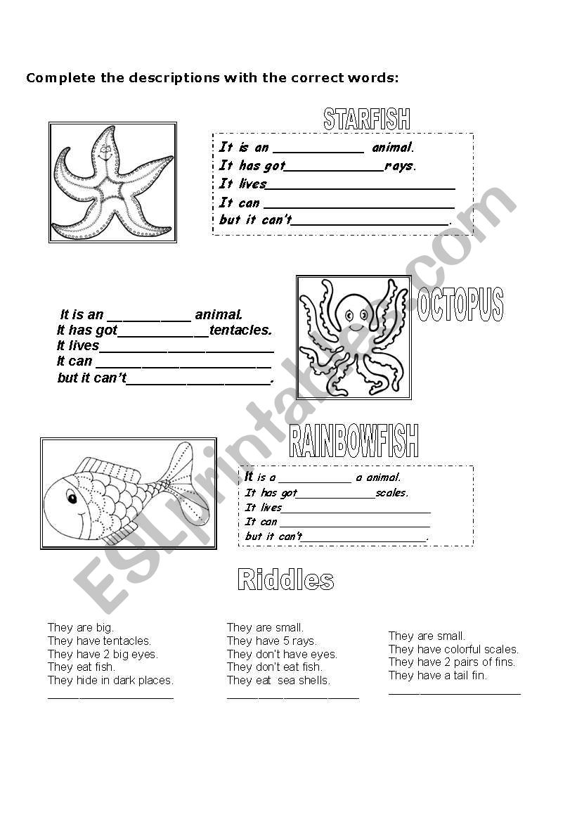 Rainbow fish script and worksheets