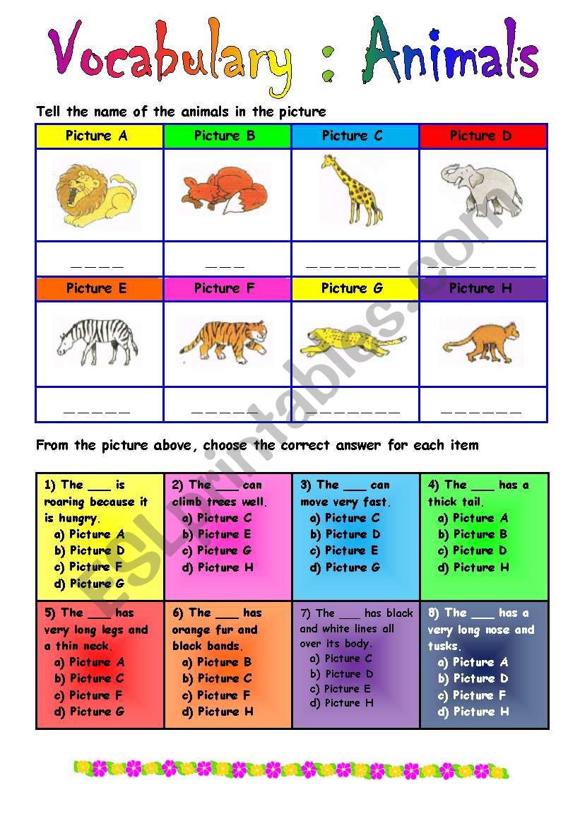Multiple choices for vocabs of animals