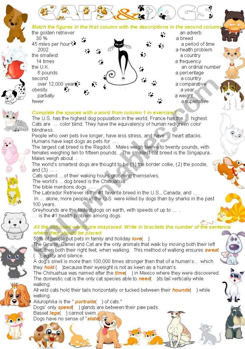 Cats and dogs worksheet