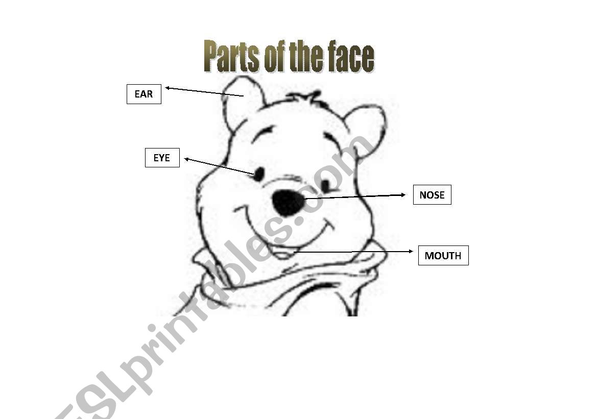 parts of the face worksheet