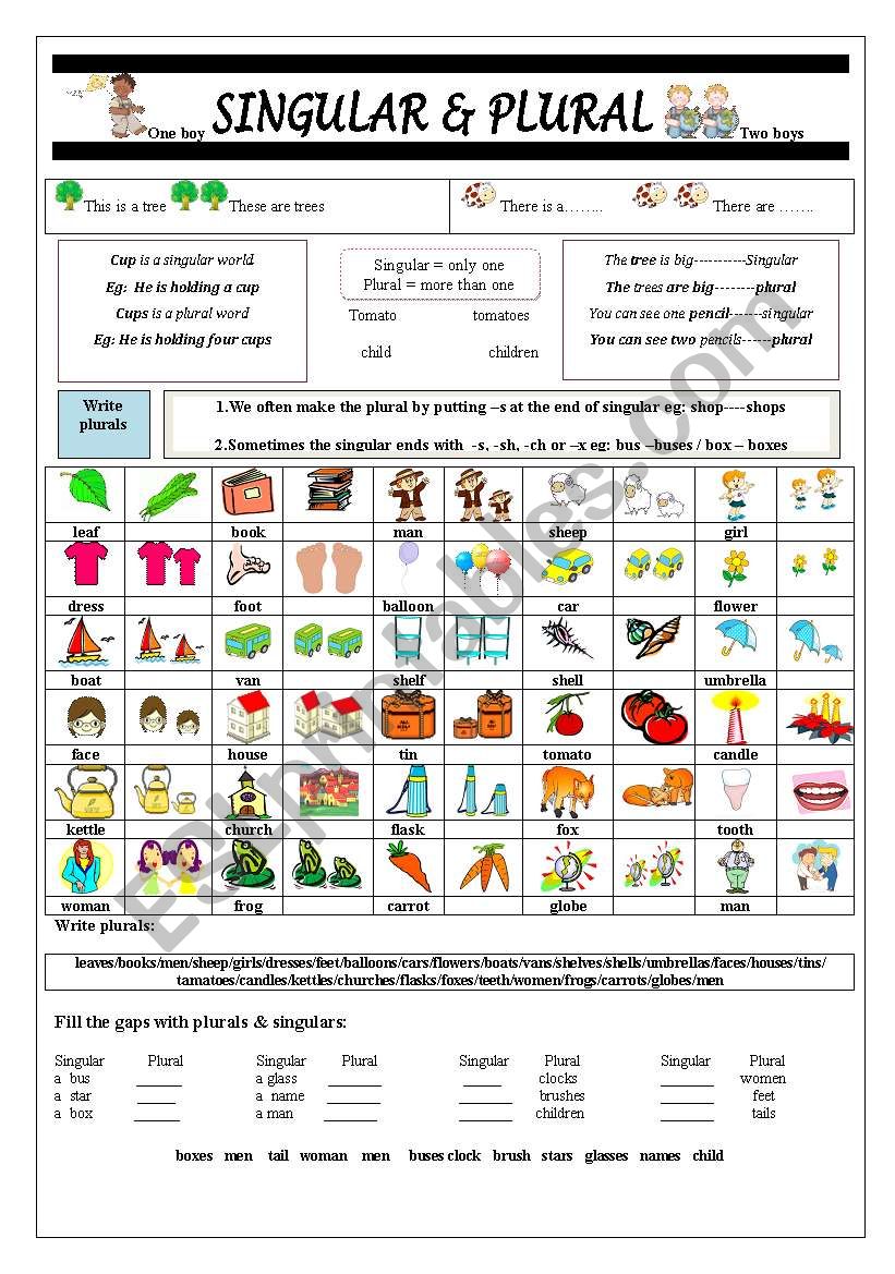 singular-plural-esl-worksheet-by-jhansi