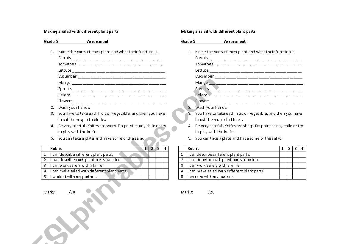 Making salad with plant parts worksheet