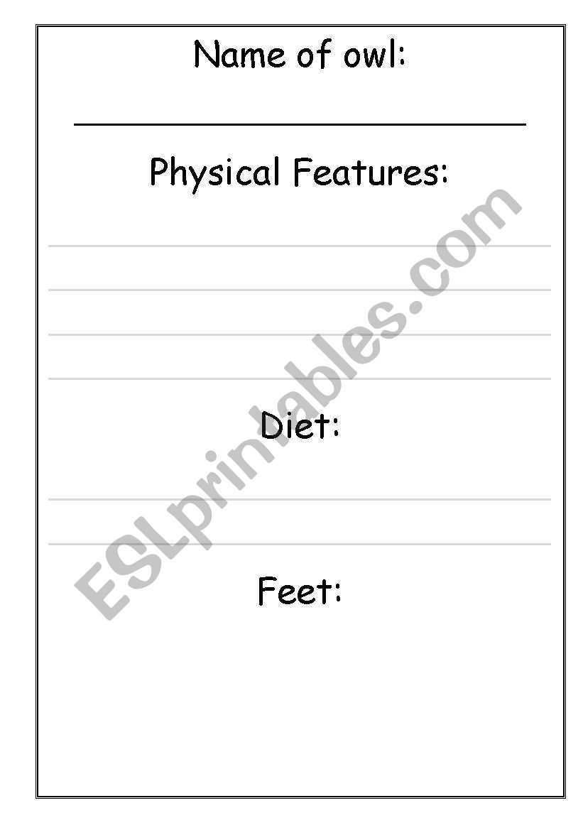 Report writing - Owls worksheet