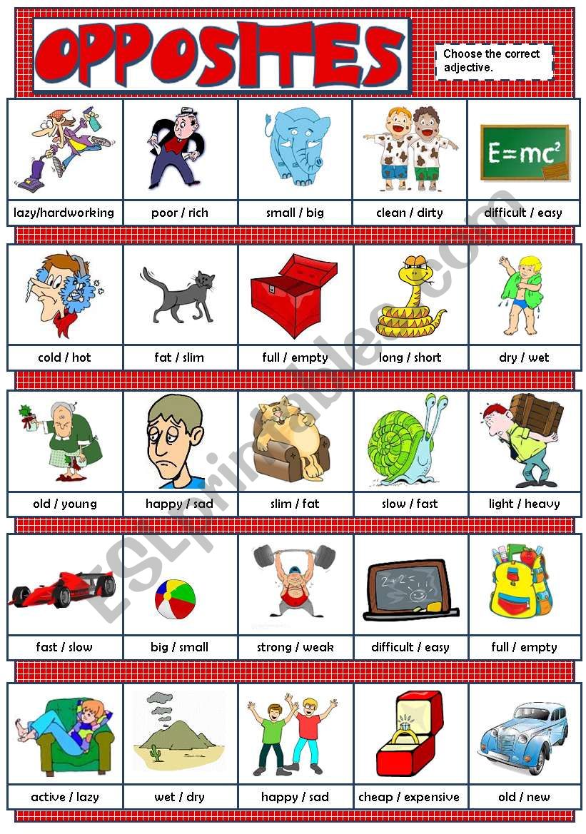 OPPOSITES (B&W) worksheet