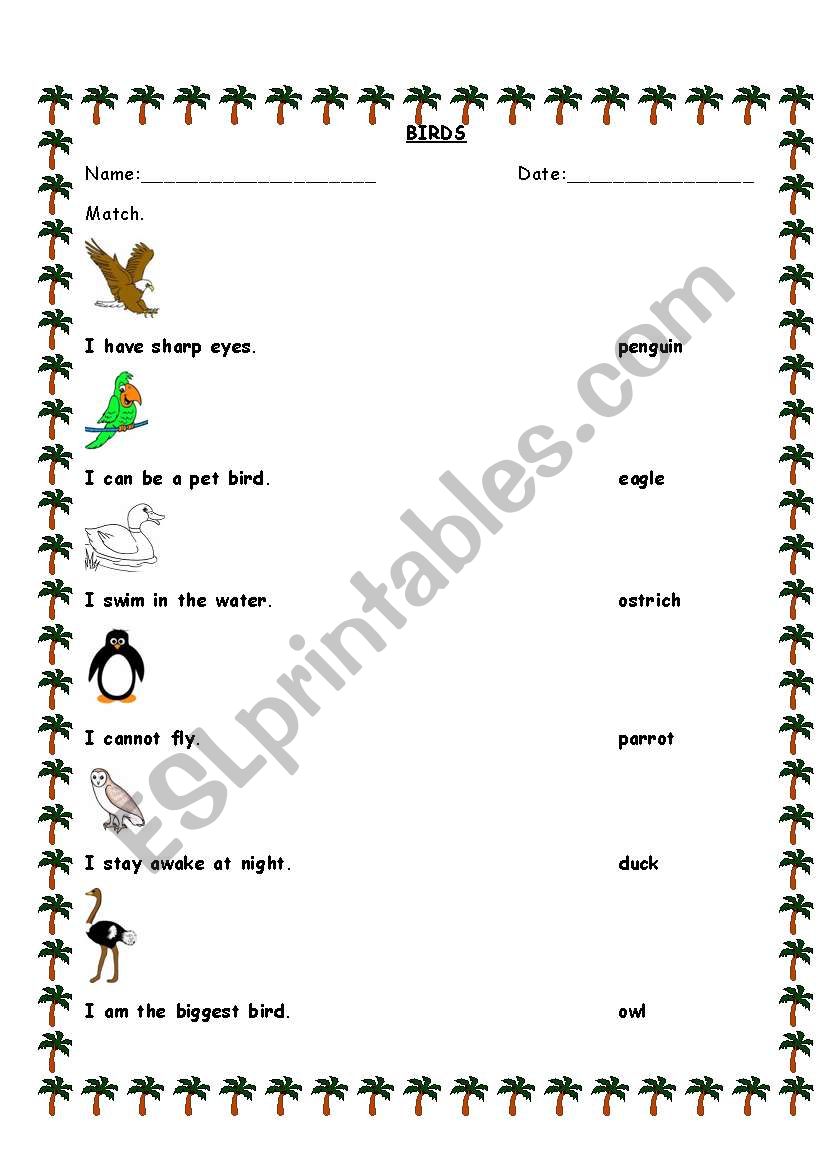 BIRDS! worksheet