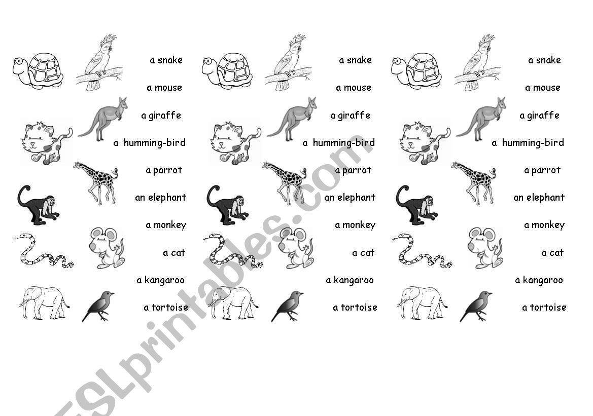 animals worksheet