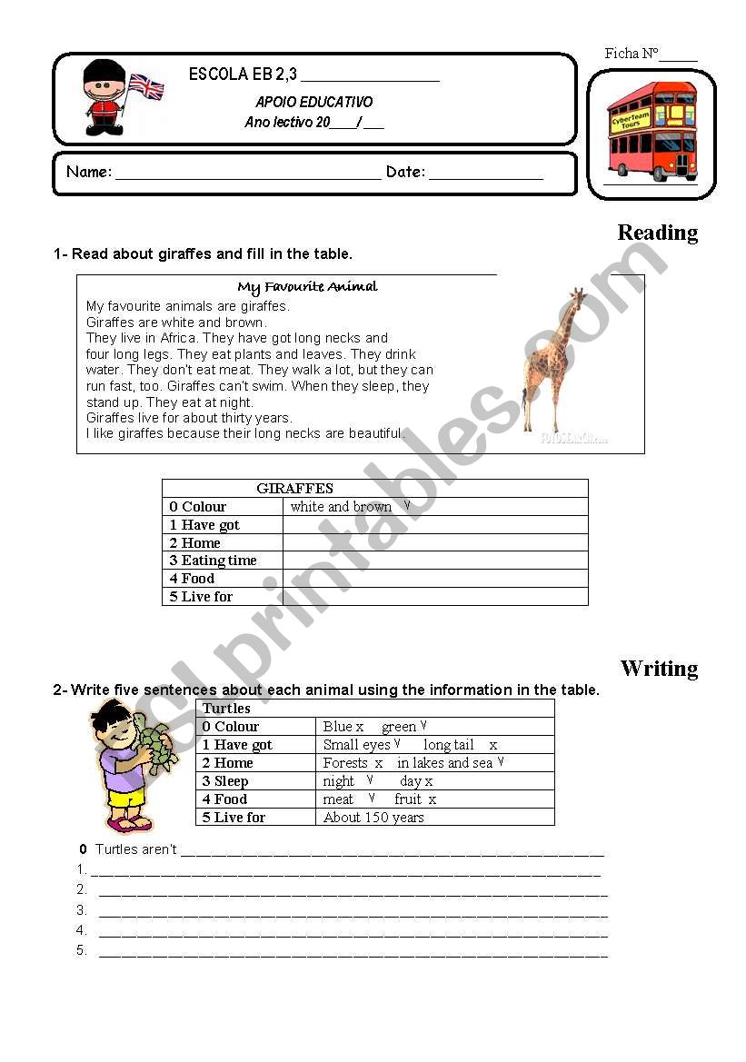 Animals worksheet