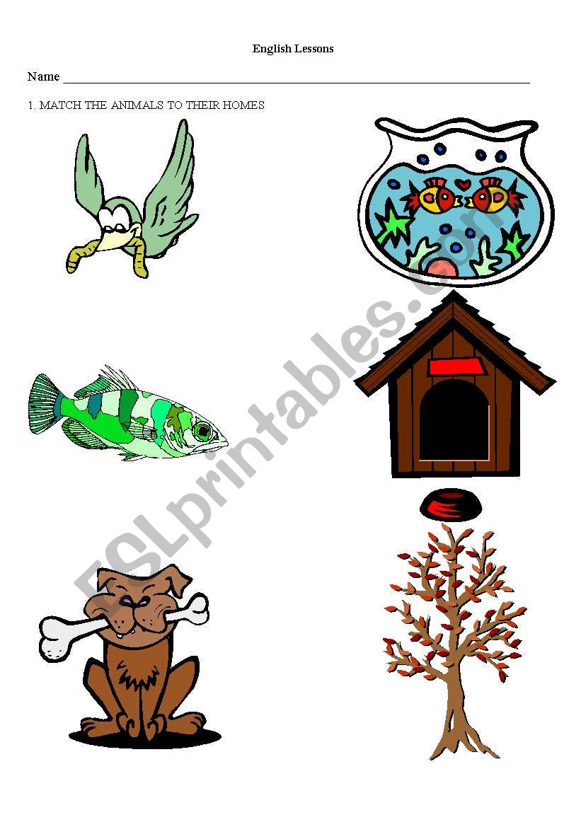 ANIMALS AND THEIR HOMES worksheet
