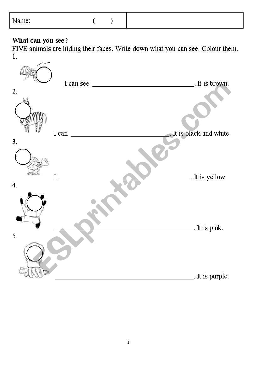 What can you see? worksheet