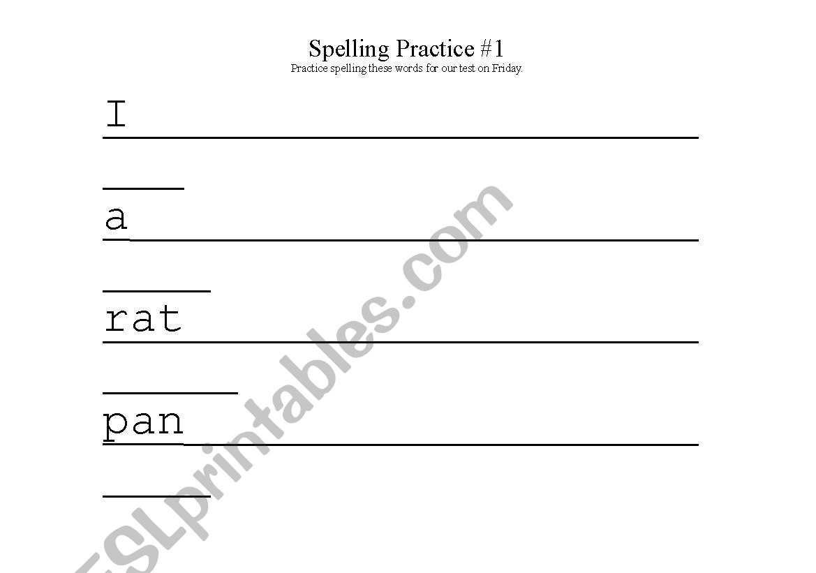 CVC & Sight Word Spelling  worksheet