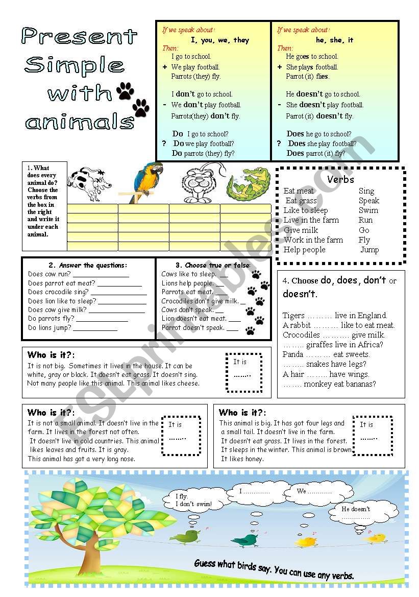 Present Simple with animals worksheet