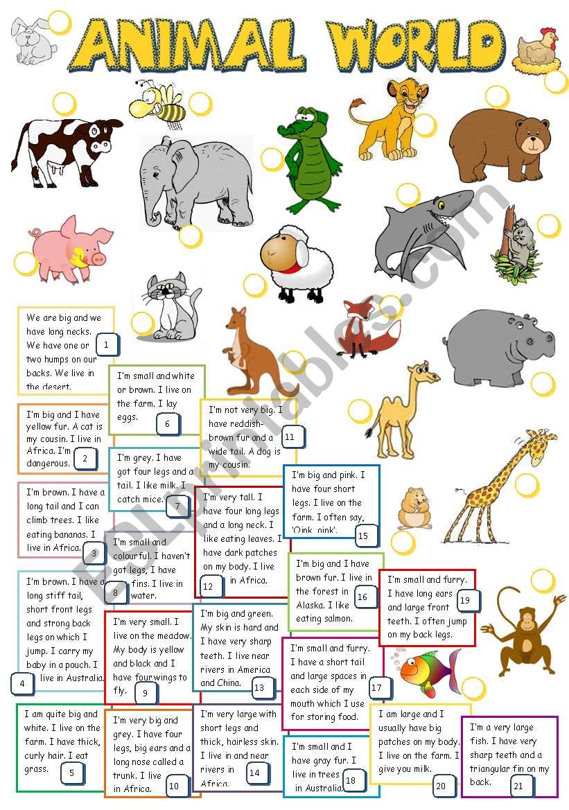 ANIMAL WORLD (B&W) worksheet