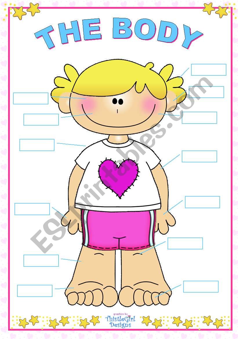 The Body (for girls) worksheet