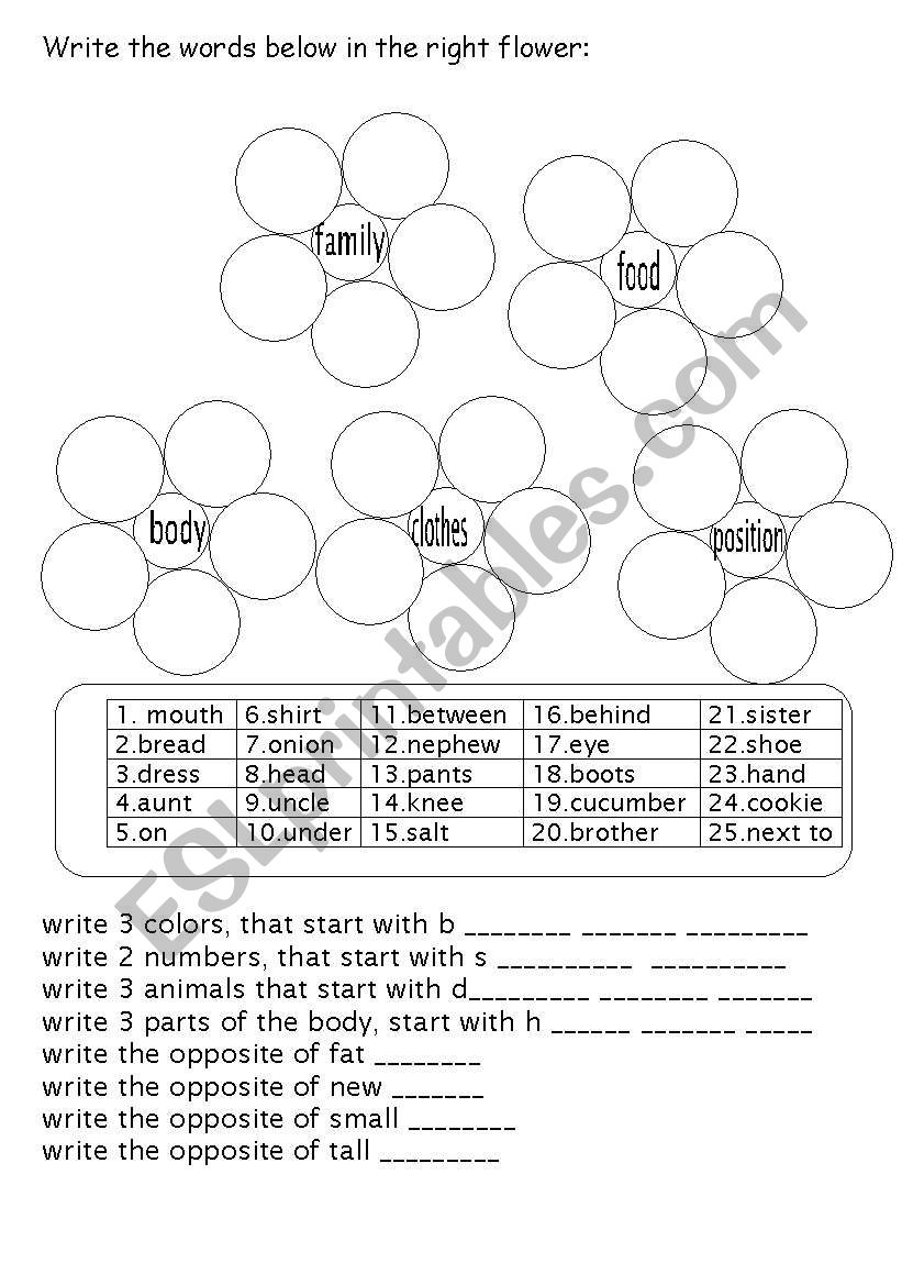 family, body .... worksheet