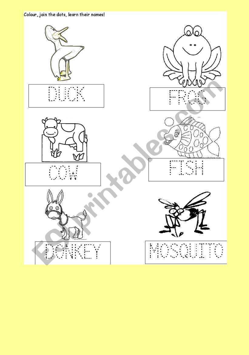 DUCK; FROG COW FISH DONKEY MOSQUITO, KINDERGARTEN