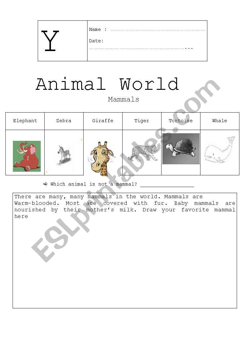Animal world worksheet