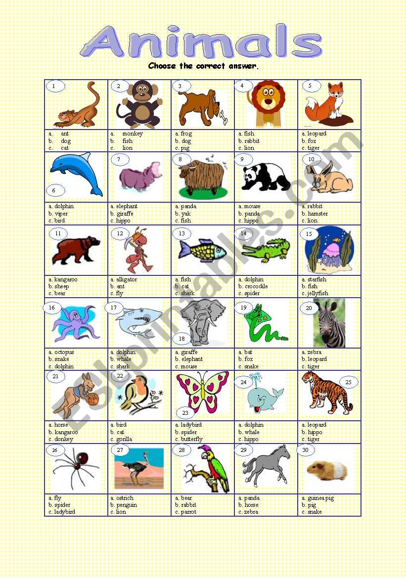 Animals - multiple choice (key included)