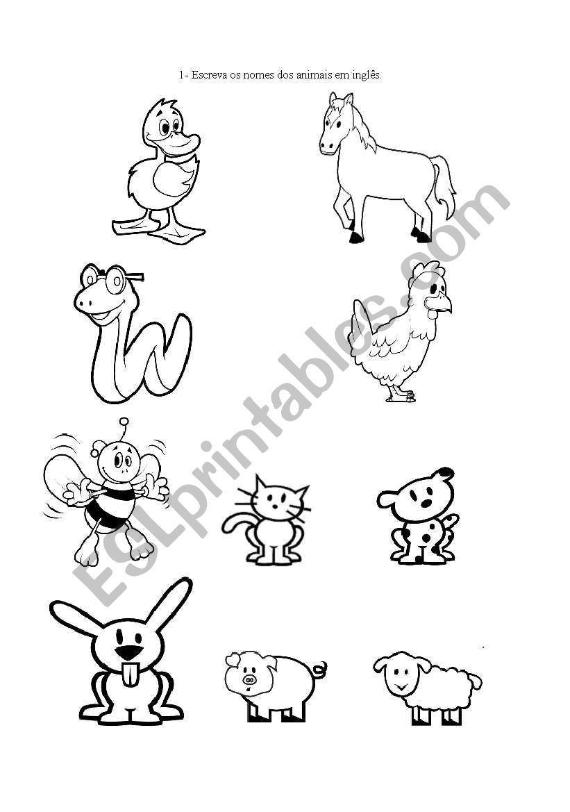 Animals worksheet