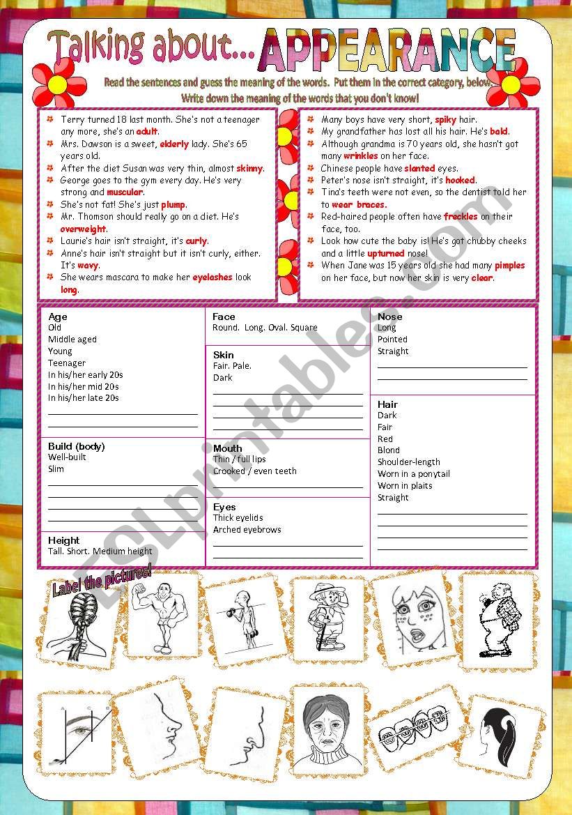 describing appearance worksheet