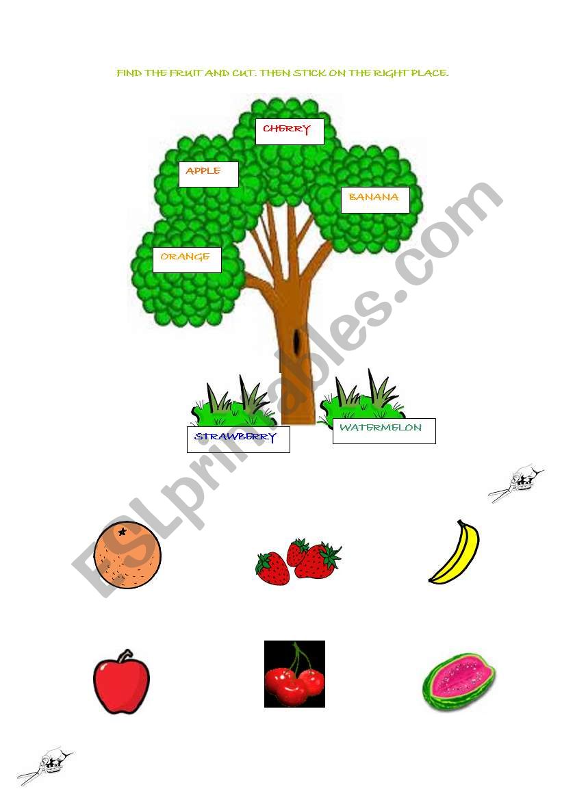 FRUITS worksheet