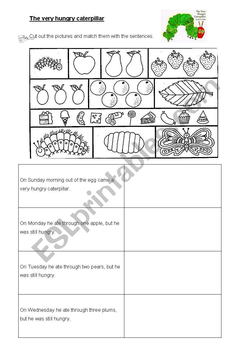 The very hungry caterpillar worksheet