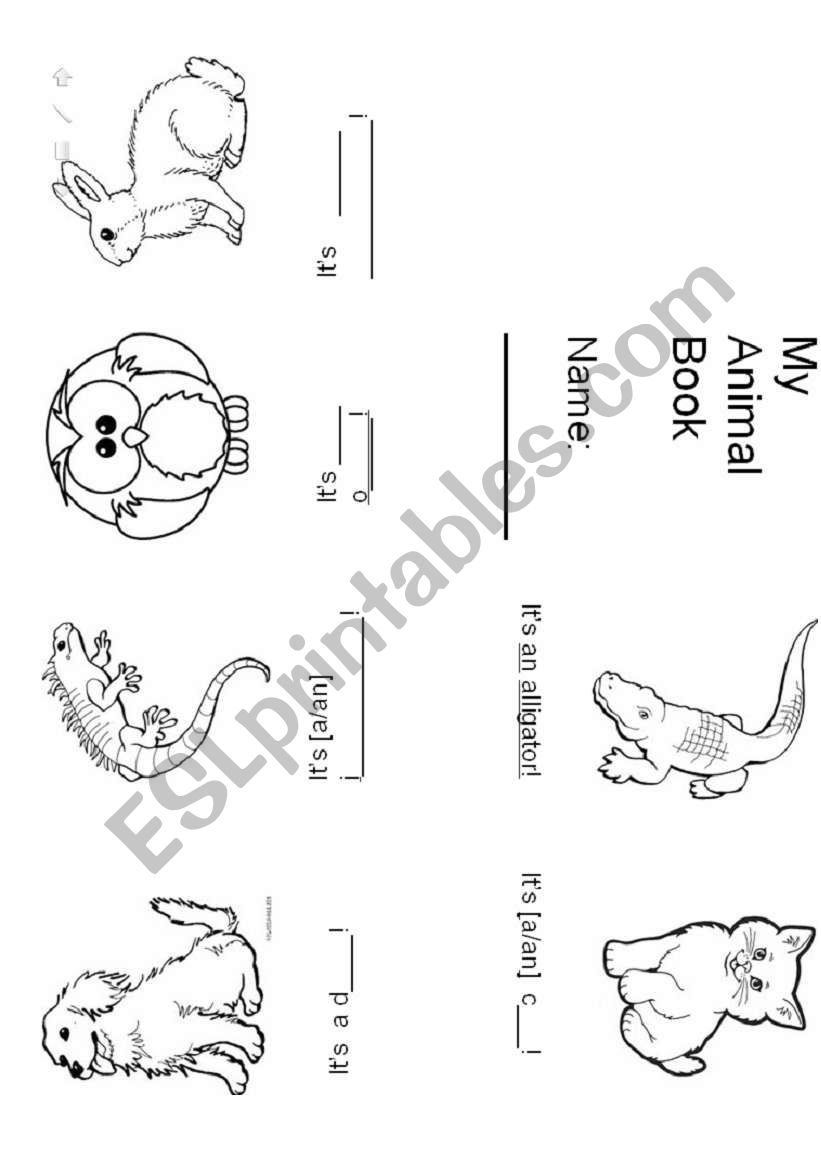 A/An Articles Animal Foldable Mini Book