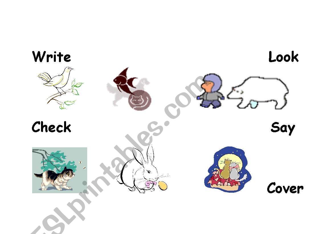 English worksheets look say cover write check
