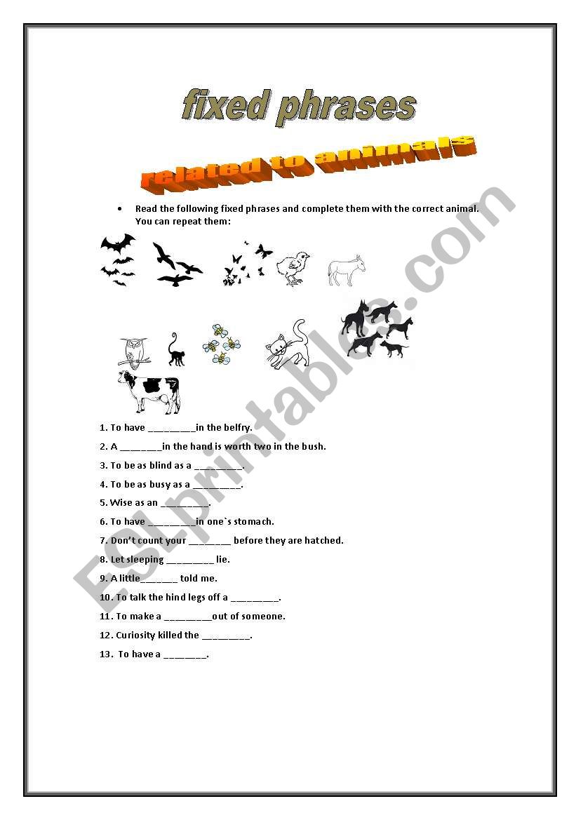 fixed phrases animals worksheet