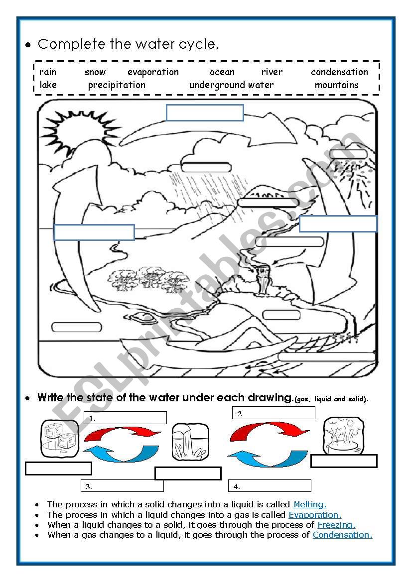 Worksheets On The Water Cycle Worksheets On The Water Cycle