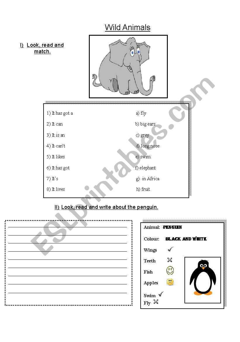 Wild Animals worksheet