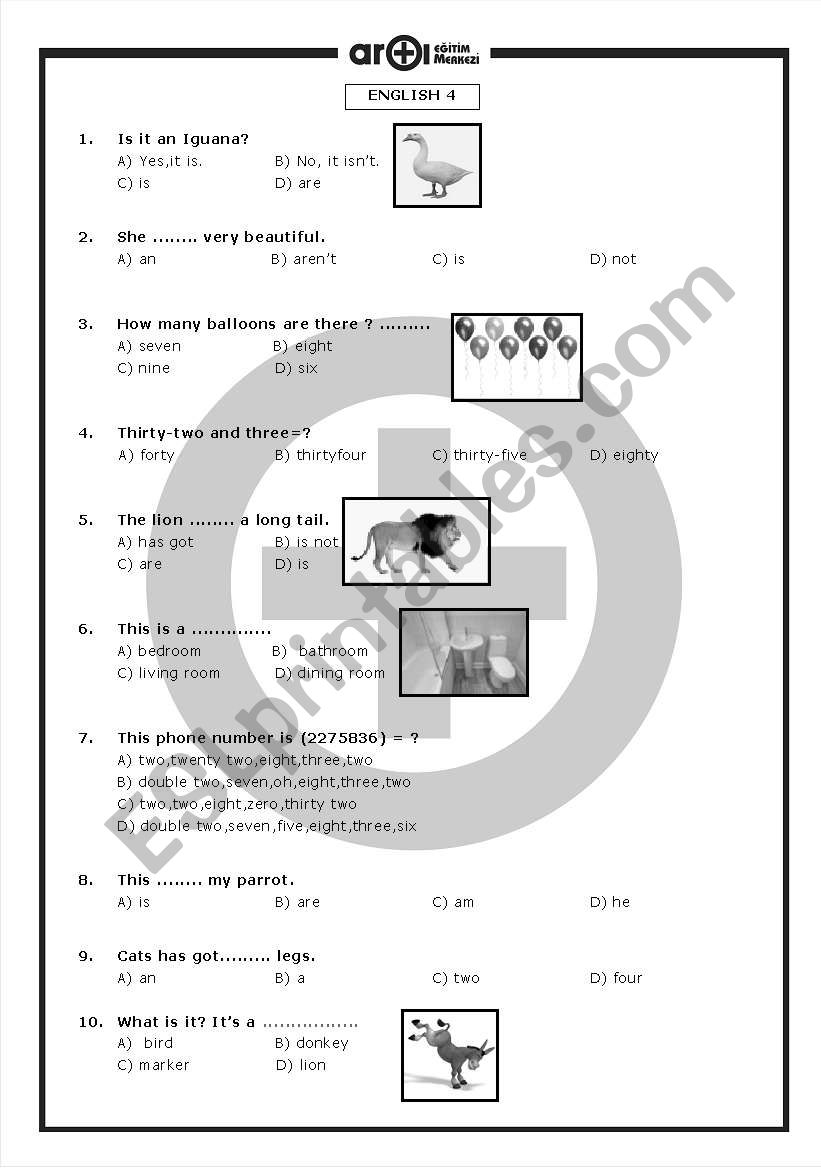 Animals worksheet