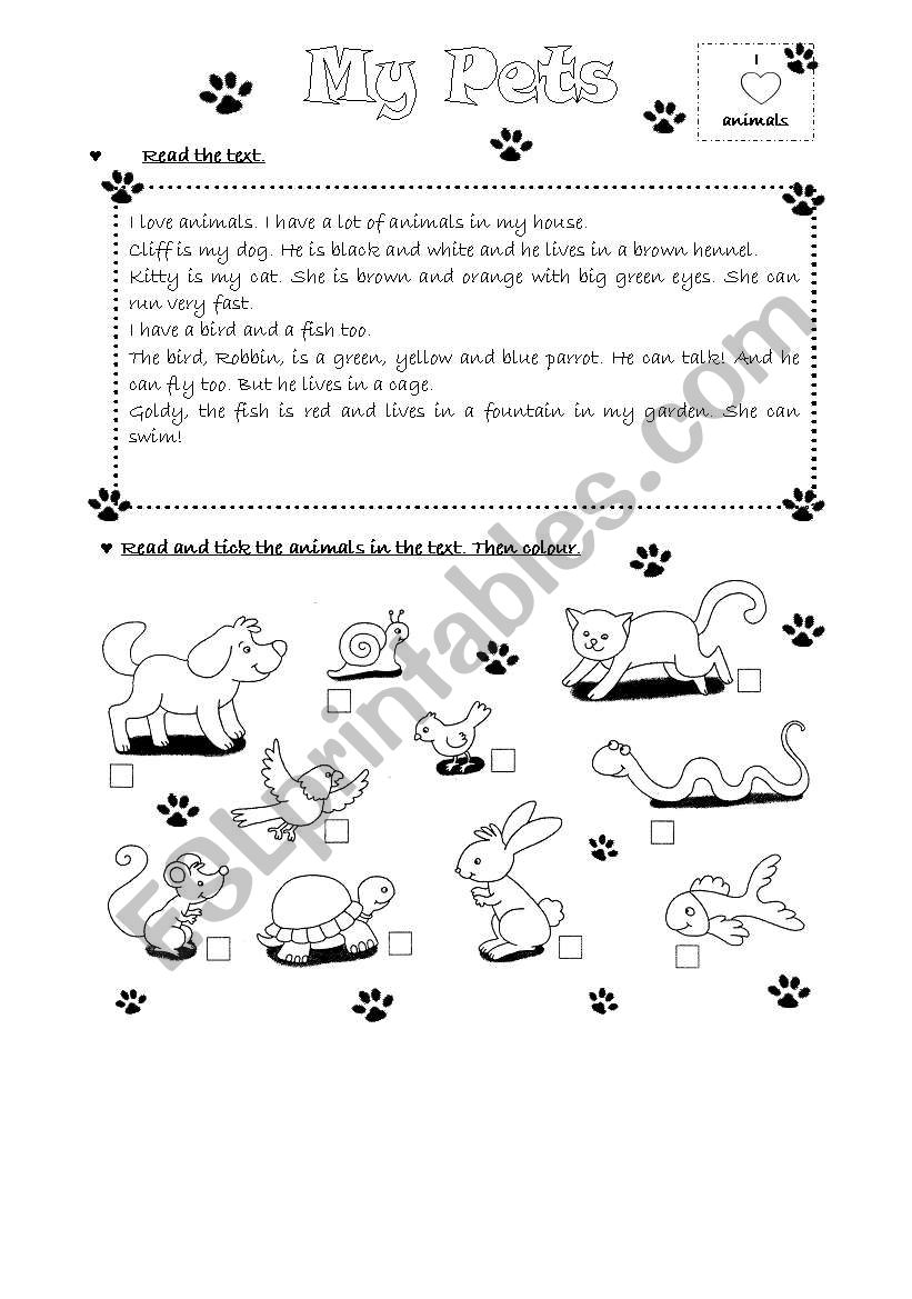 My pets worksheet