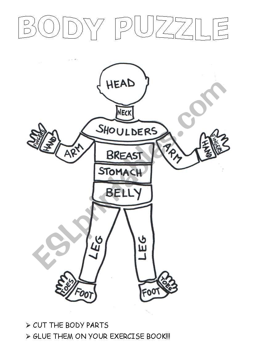 The crazy body puzzle worksheet